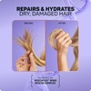 image:imageMarc Anthony Repair Blonde Purple Toning Hair Conditioner  Blondes amp Grey