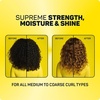 image:imageMarc Anthony Strictly Curls Strength amp Shine Scalp amp Hair Oil  Curly Hair4 Fl Oz Pack of 1
