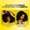 image:imageMarc Anthony Strictly Curls Strength amp Shine Scalp amp Hair Oil  Curly Hair4 Fl Oz Pack of 1